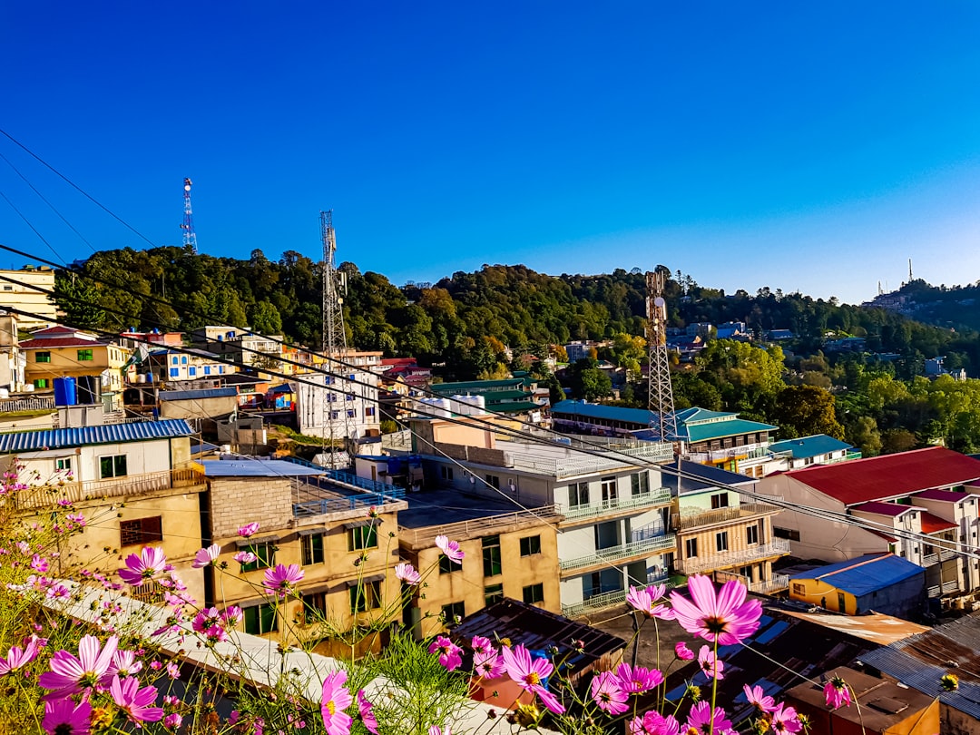 a town with many buildings and trees