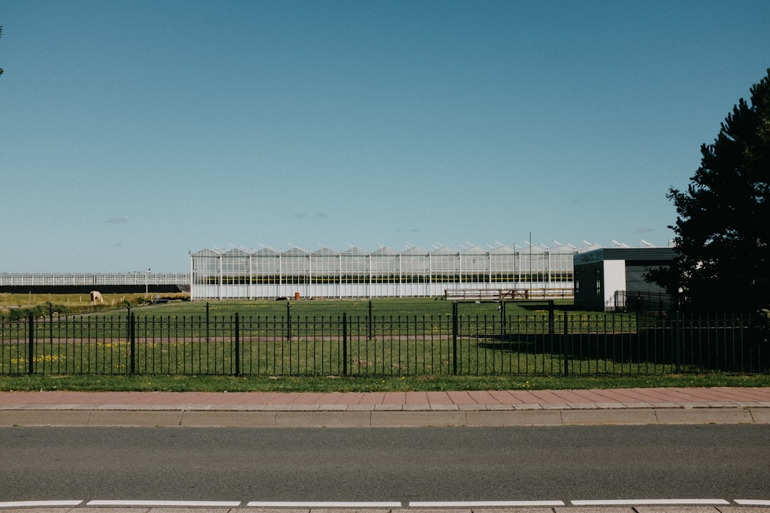 white metal fence on green grass field during daytime