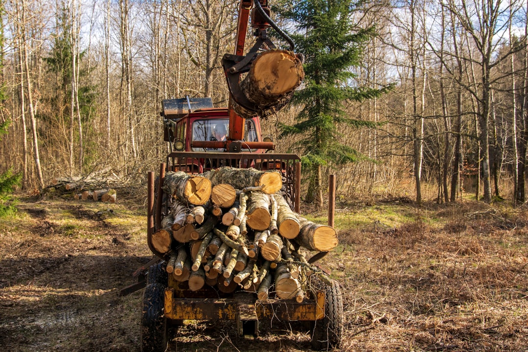 a truck carrying logs in a wooded area