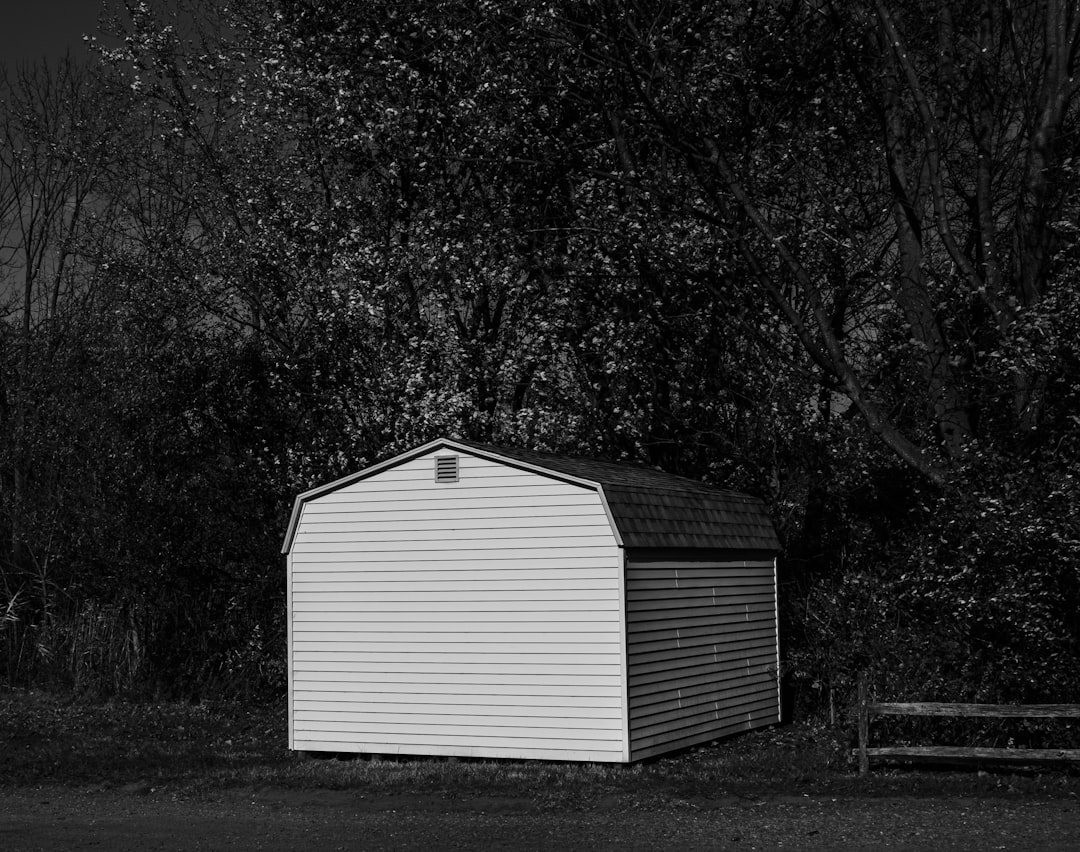 A white shed sits in front of dark trees.