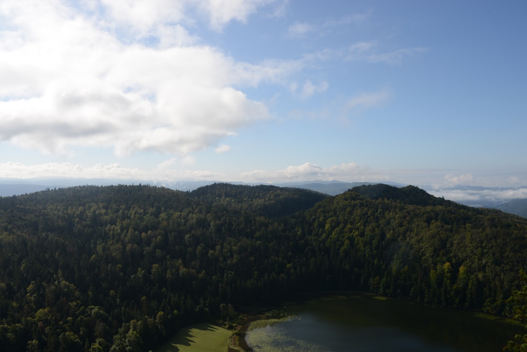 a view of a lake in the middle of a forest