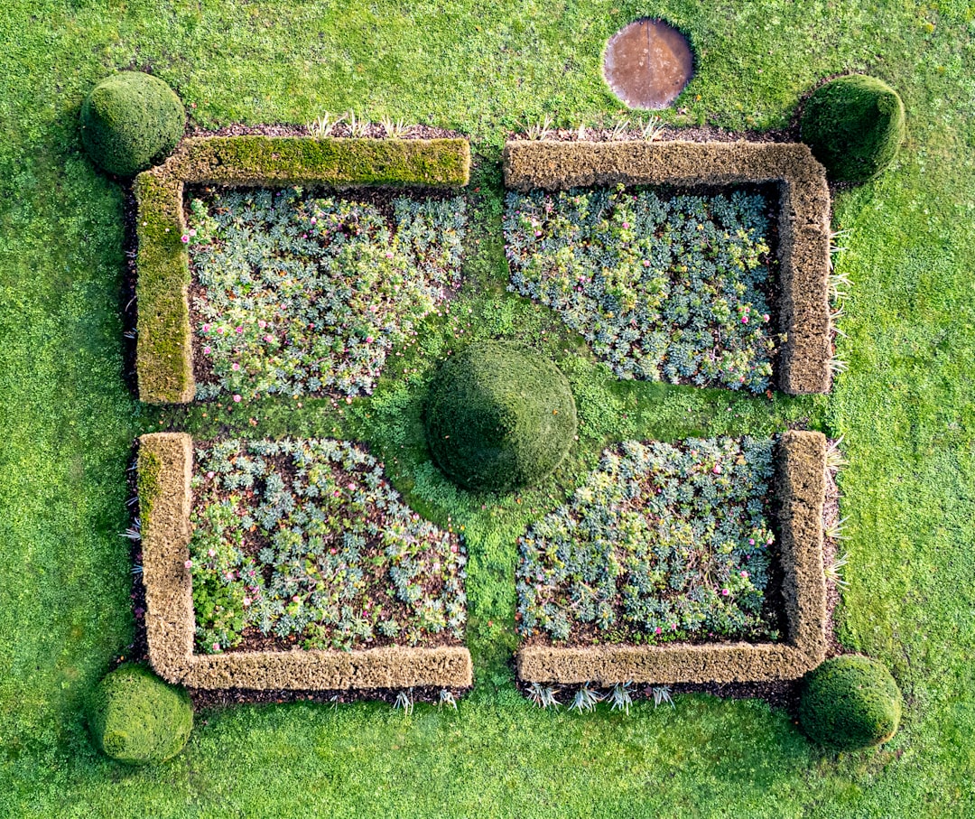 An aerial view of a garden in the grass