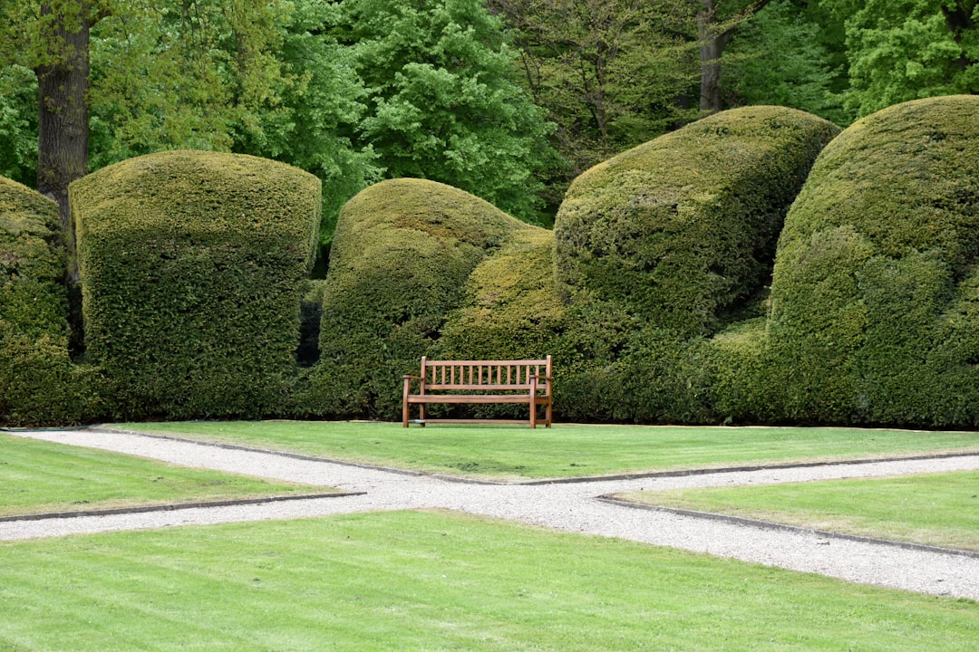 A wooden bench sits in a manicured garden with hedges.