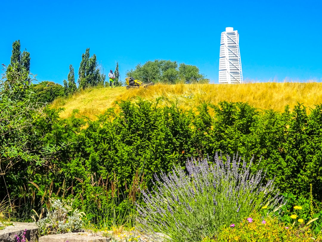 White tower behind a grassy hill and green foliage.