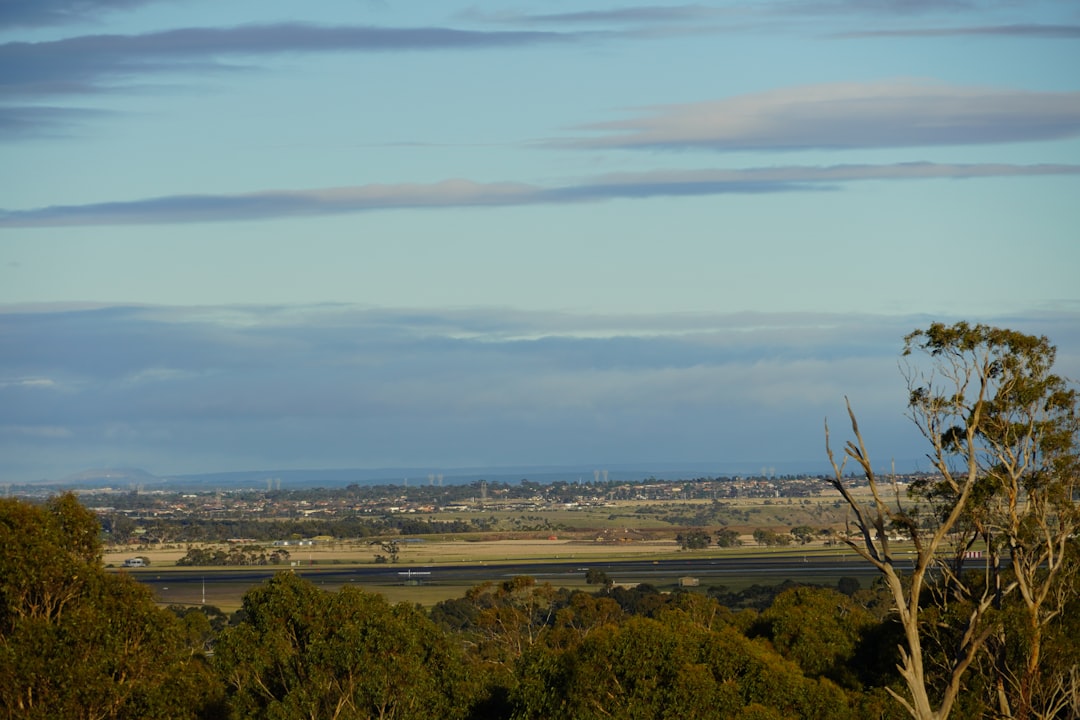 green trees and grass field under blue sky during daytime