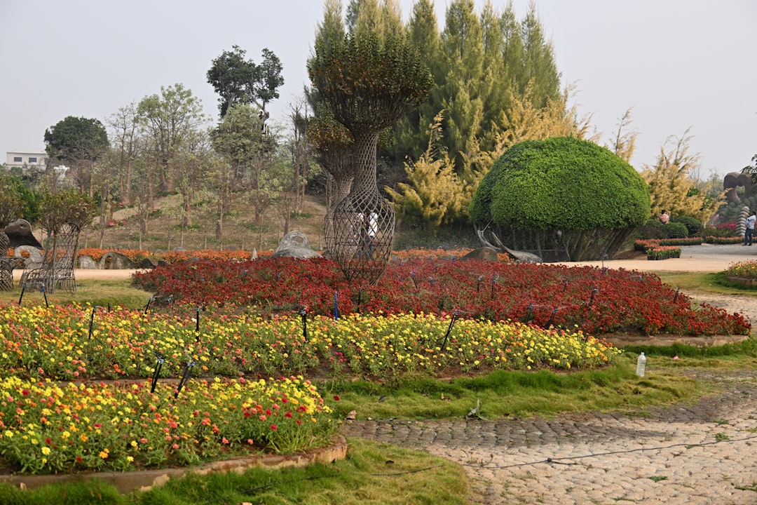 A beautifully manicured garden with colorful flowers and trees.