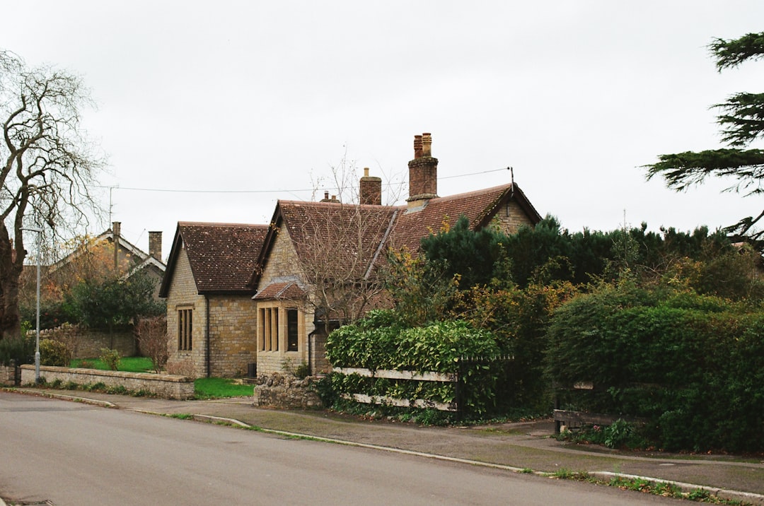 Small cottage with trees and garden