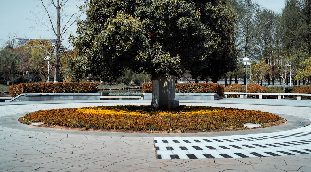 Large tree in a circular garden with flowers.