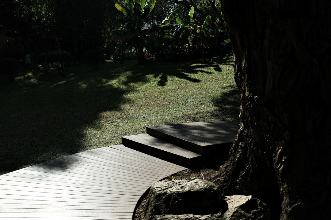 Wooden deck and steps leading to a grassy yard.