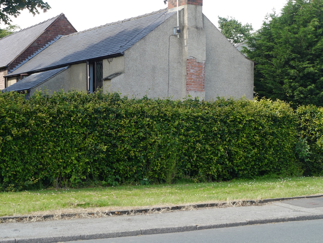 Lush green hedge in front of a rustic house