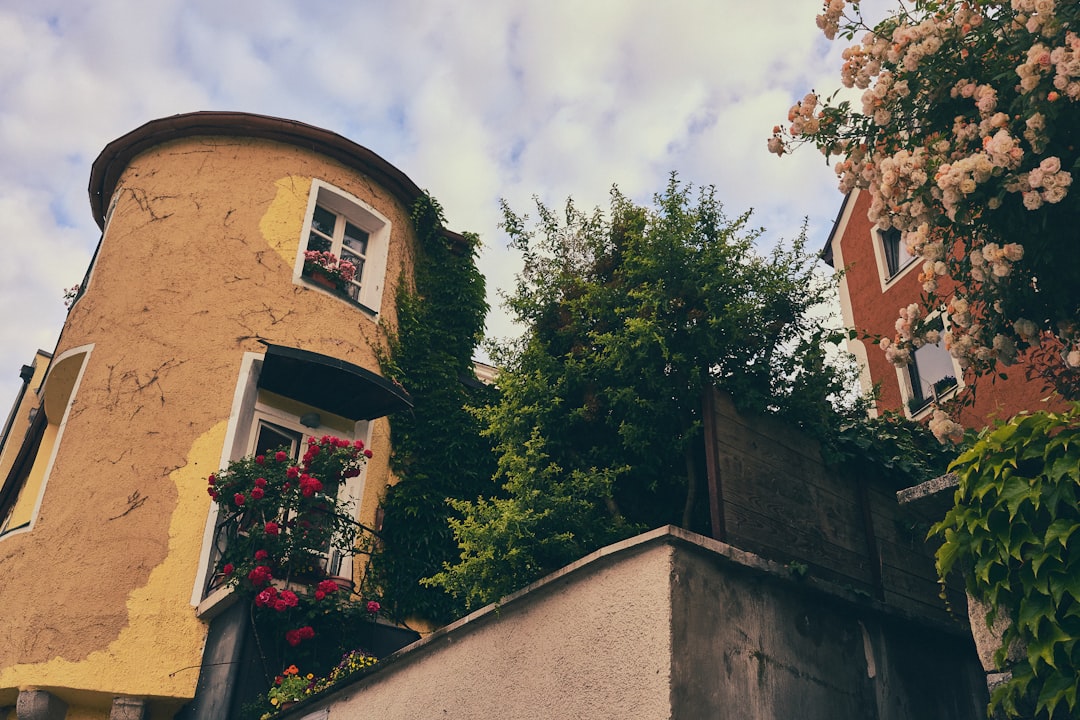 Quaint yellow building adorned with flowers and green vines